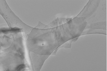 客户用NanoGenizer30K微射流均质机制备的石墨烯 客户用NanoGenizer30K微射流均质机制备的石墨烯