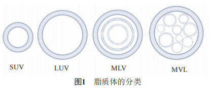 脂质体的分类