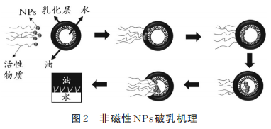 非磁性NPs破乳机理