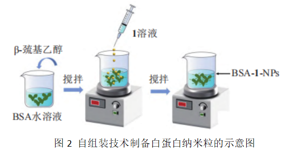 图2 自组装技术制备白蛋白纳米粒的示意图