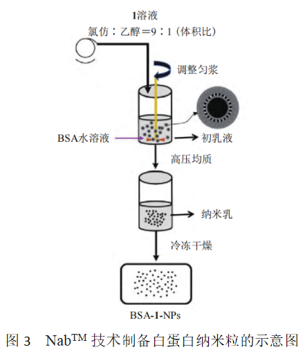 图3 NabTM 技术制备白蛋白纳米粒的示意图
