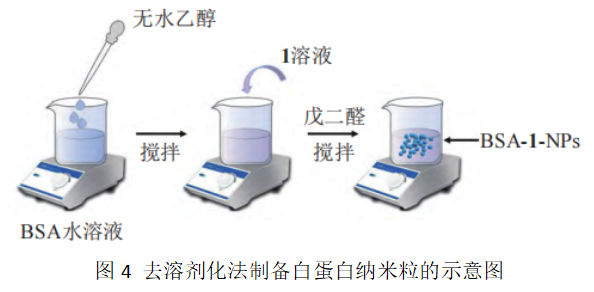 图4 去溶剂化法制备白蛋白纳米粒的示意图