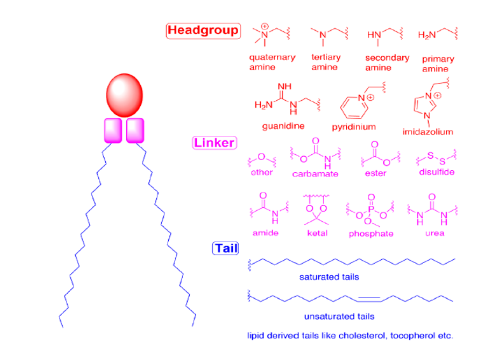 阳离子脂质结构