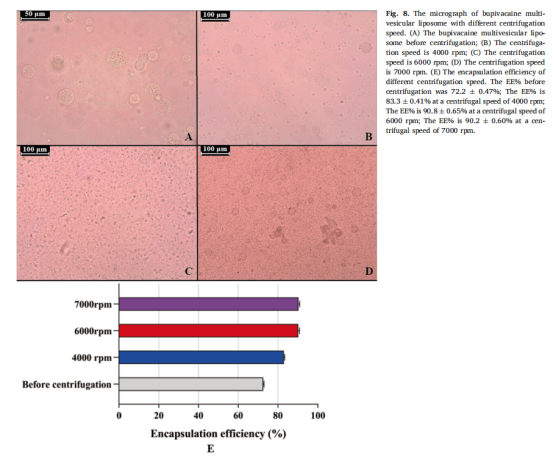 布比卡因多泡脂质体在不同离心速度下的显微照片