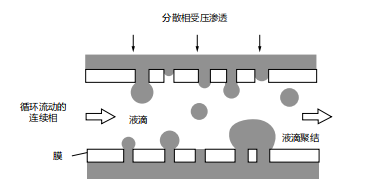图3 膜乳化过程示意图