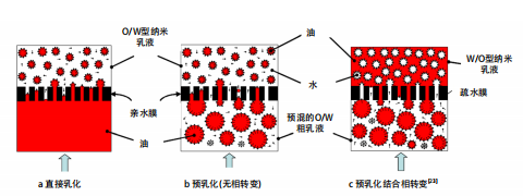 图4 膜乳化工艺
