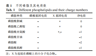 不同磷脂及其电荷数 不同磷脂及其电荷数