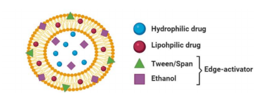 醇质体结构图 醇质体结构图
