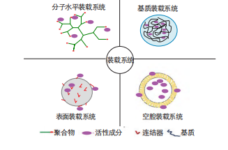 图2 4种纳米载体加载系统示意图