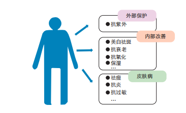 图3  化妆品活性成分的应用优势