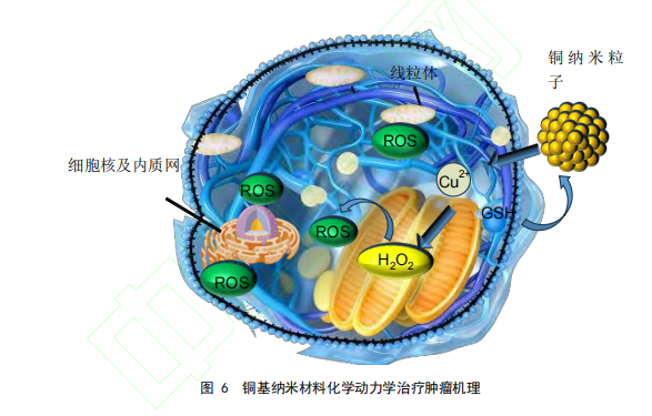 图 6 铜基纳米材料化学动力学治疗肿瘤机理 图 6 铜基纳米材料化学动力学治疗肿瘤机理